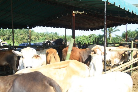 WhatsApp Image 2020 02 19 at 21.26.42